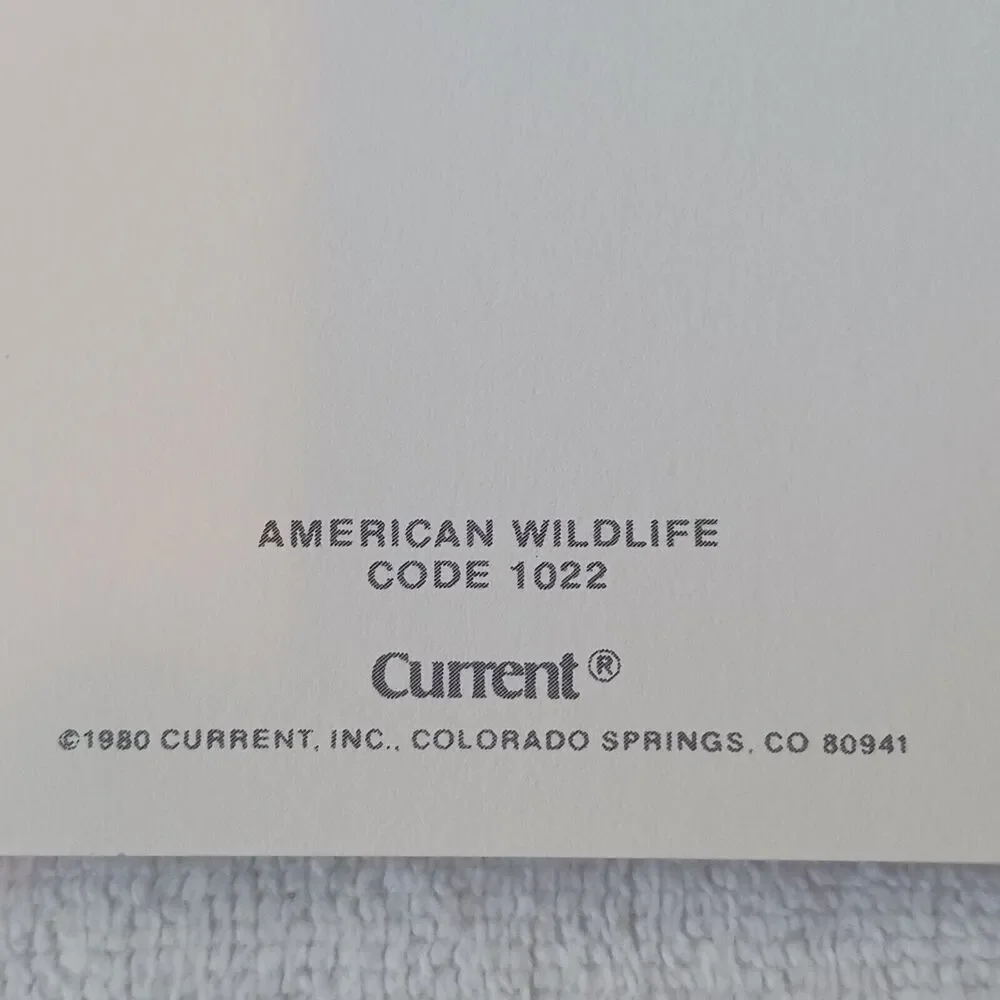 American Wildlife Greeting 1980 american